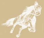 antique carousel horses